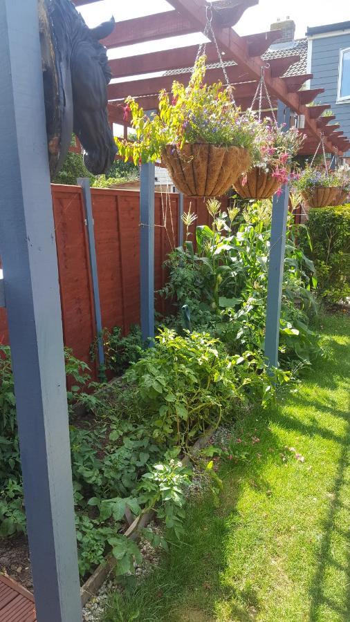 Mango Lodge Herne Bay Dış mekan fotoğraf